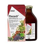 Salus Floravit Liquid Iron and Vitamins | Herbal Iron Supplement for Women, Men, and Children | Gluten-Free, Yeast-Free, Non-Dairy, Non-GMO (500ml)