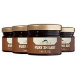 Rasayanam Pure Himalayan Shilajit Resin | Highly Purified with 75% Fulvic Acid & 80+ Trace Minerals | Supports Energy, Stamina, Strength & Recovery | 80 gm