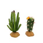 JIHAQUA Reptile Plants Succulent, Artificial Desert Rain Forests Plants for Lizard Bearded Dragon Chameleon Gecko Snake Amphibian Terrarium Decor (Set 2)