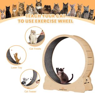 Homegroove XL Cat Exercise Wheel – Large Indoor Running Wheel