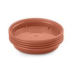 Whitefurze G04114 Garden Pot Saucer for 7.5/ 10cm Pot - Terracotta (Set of 5)