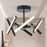 Jiinoo Modern LED Ceiling Light, 30