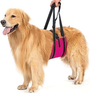 Avont Arnés de Elevación para Perros, Soporte Levantador para Piernas Traseras con Asa y Correas para Displasia de Cadera para Perros Ancianos -M,Rosa Oscuro