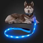 Candofly Reflective LED Dog Leash - Glow in The Dark Dog Leash USB Reachargeable Lighted Dog Rope, 4 Ft Durable Water Resistant Flashing Dog Leash for Pet Dogs Walking at Night (Sky Blue)