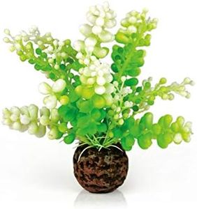 BiOrb 46090.0 Aquatic Caulerpa Green Aquariums