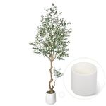 CQURE 8FT Artificial Olive Tree, Tall Faux Olive Tree Indoor Potted Fake Olive Plant with Natural Wood Trunk and Lifelike Fruits for Home Office Living Room Decor （Includes White Pot）