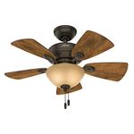 Hunter 34 Watson – Fan (Walnut, 60 W)