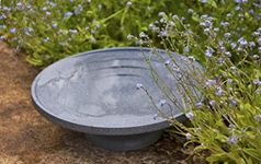 Wildlife World Water is Life Bird Bath & Drinker