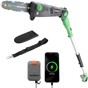 WORKPROX Cordless Pole Saw with Battery, 20V 4.0Ah Battery Powered 8 Inch Electric Pole Chainsaw, 4000mAh Power Bank with Quick Charge 3.0, Lightweight, 15 FT Max Reach Pole Saw for Tree Trimming