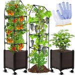 MQUPIN Raised Garden Bed Planter Boxes with Trellis, 52'' Tomatoes Planters Outdoor Tomatoes Cage for Climbing with Wheels, Self Watering Planters for Vegetables Flowers Vine, 7.1 Gallons Box