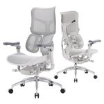 SIHOO Doro S300 Ergonomic Office Chair, Computer Chair, Gaming Chair with Dual Dynamic Lumbar Support, 6D Coordinated Armrests, Adjustable Rolling Chair (White Italian Velvet Mesh)