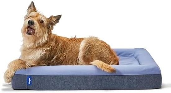 Casper Dog Bed, Plush Memory Foam, Medium, Blue
