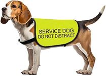 Service Dog Jacket Vest Service Dog Do Not Distract Dog Vest Dog Walking Slogan Warning Vest (Service Dog Distract-Small)