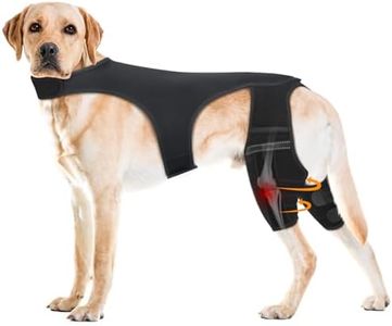 Pawfun Dog