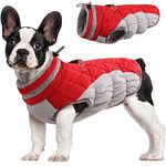 Snow Jacket For Dogs