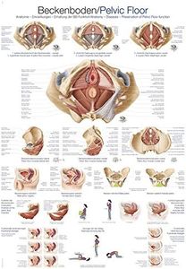 'Anatomich