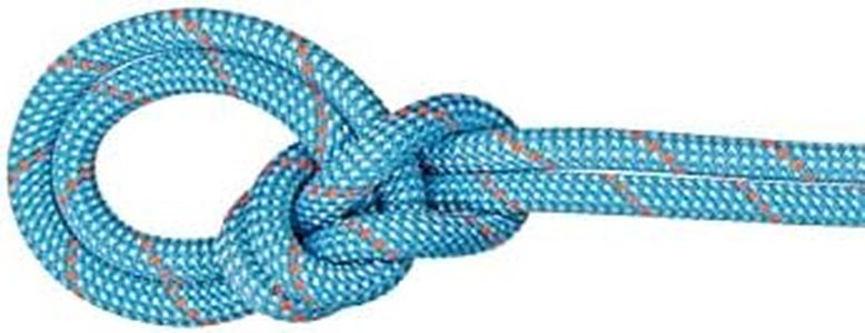 Mammut 9.8 Crag Classic Rope - Ice Mint/White 60m