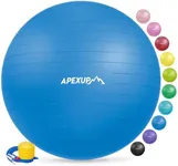 APEXUP Yoga Ball Exercise Ball, Ant