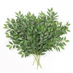 Dremisland 6pcs Italian Ruscus Greenery Stems, 27.6in Artificial Green Foliage Garland Vines Hanging Spray Branch for Wedding Bouquet Arch Table Centerpieces Home Decor