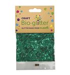 Craft Biodegradable Glitter, Christmas Decorations, Reindeer Food, Chunky Glitter, Arts and Crafts for Kids, Card Making, Craft Glitter for Candle Making, Eco-Friendly - Green - 20g