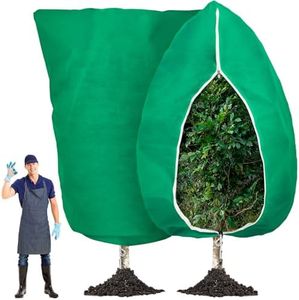 Vincreem P