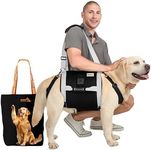 Dog Lift Harness for Large Dogs,Ful