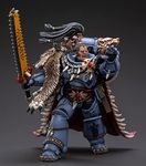 HiPlay JoyToy × Warhammer 40K Officially Licensed 1/18 Scale Science-Fiction Action Figures Full Set Series -Pmaris Space Marines Space Wolves Ragnar Blackmane