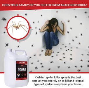Karlsten Spider Killer Spray 5L – Indoor & Outdoor Pest Control