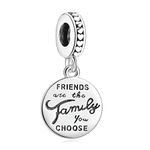 Annmors Jewelry Friends are Family Dangle Charms for Bracelets, 925 Sterling Silver-Lucky Charm for Woman Pendant Bead,Girl Jewelry Beads Gifts for Women Bracelet&Necklace