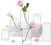 ZENS Glass Bud Vases Set of 6, Modern Small Flower Vase in Bulk for Wedding Decorative, Blown Clear Glass Vase for Party Events Centerpiece Home Decor.