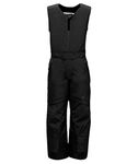 Spyder Active Sports Boys Mini Expedition Ski Pant, Black, 7