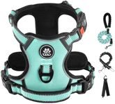 IVY&LANE No Pull Dog Harness with L