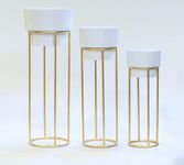 Hiftocraft™ Modern metal decorative floor standing white and gold indoor outdoor plant stand with pot for home decor living room office bedroom balcony (pack of 1) (Design 5)