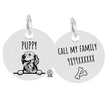 Pawpro Personalized Engraved Dog Name Tag with Photo Customized Pet Id Cute Dog Tag Id for Dogs, Cat, Customized (Silver Color)