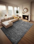 Ophanie 8x10 Area Rugs for Living R