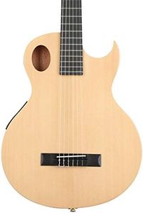 Washburn 6