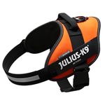 Julius-K9, 16IDC-FOR-2, IDC Powerharness, dog harness, Size: XL/2, UV Orange