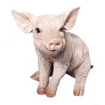 Real Life Medium Piglet Garden Ornament (SizeD)