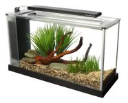 Fluval SPEC Aquarium Kit, Aquarium with LED Lighting and 3-Stage Filtration System, 5-Gallon