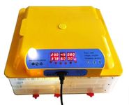 Ndeal Eggs Incubator, Eggs Large Incubators, Automatic Dual Power Supply Incubator with Auto Egg Turner & Temperature Control Ventilation, for Chicken Duck Goose Eggs Incubator (48 Eggs Incubator)