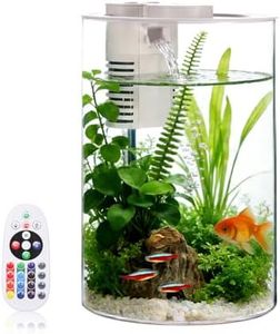 Fish Tank 