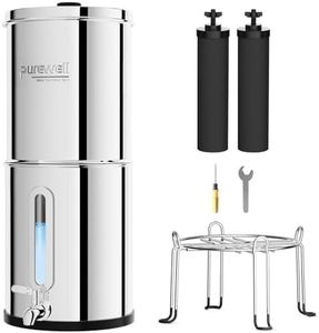 Purewell S