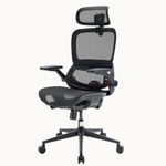 SIHOO B100 PRO Ergonomic Office Chair, Office Chair with Adaptive Dynamic Lumbar Support, 4D Flip-Up Armrests, 3D Wide Headrest, Breathable Mesh Computer Chairfor Long Hours Home Office, Dark Black