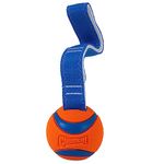 Chuckit! Ultra Tug Dog Toy With Rubber Ball Tug Of War Interactive Fetch Toy for Dogs, Small