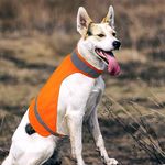 Blaze Orange Dog Vest High Visibility Outdoor Dog Safety Vest,Dog Hunting Vest Reflective Dog Vest Make Your Dog More Visible and Safe in Hunting Season or for Dog Night Walking,Activities (XL)