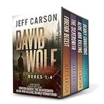 The David Wolf Mystery Thriller Ser