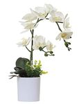 Olrla White Artificial Orchid Plant with Pot, Faux Butterfly Orchids Flower with Vase for Wedding Party Garden Home Office Decoration (White 2)