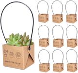 ALLWSLucky 100Pcs Watch Me Grow Succulent Wrap, Fits 2 Inch Pots Succulent Wrap Bag with Plastic Handle Kraft Paper Sleeve SucculentTags for Shower Party Favors Ideas(100PCS)