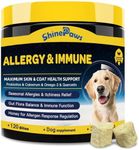 Dog Allerg