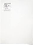 Darice 33275-1 Perforated plastic canvas, 21.5 x 27.9 cm, Transparent, 1 unit